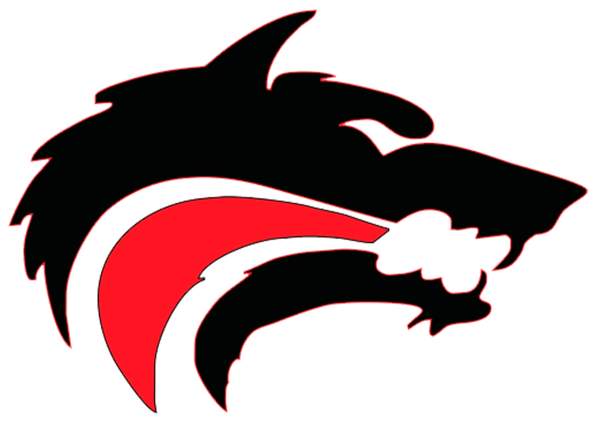 District Logo